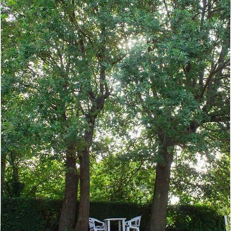 Twin Oaks Daire Šišan Dış mekan fotoğraf